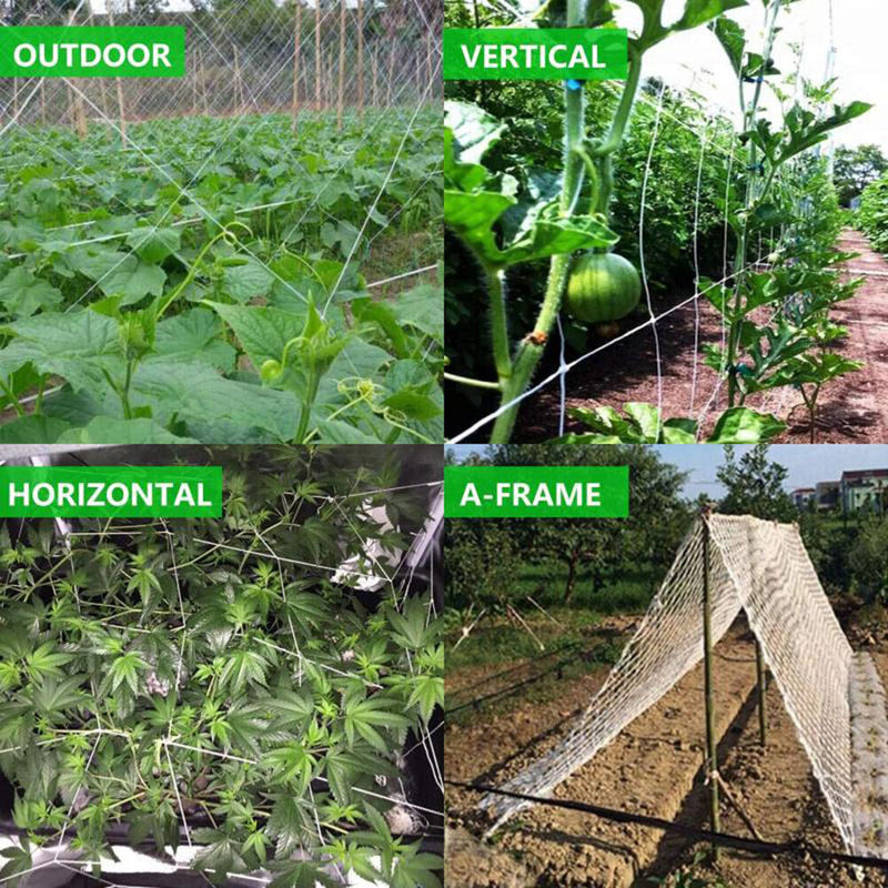 1.67x5m Garden Plants Climbing Net Polyester Cucumbers Vine Stand Trellis Net