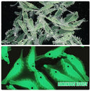 Luminous shrimp soft lure 3 cm fluorescent glow rubber artificial bait wobbler