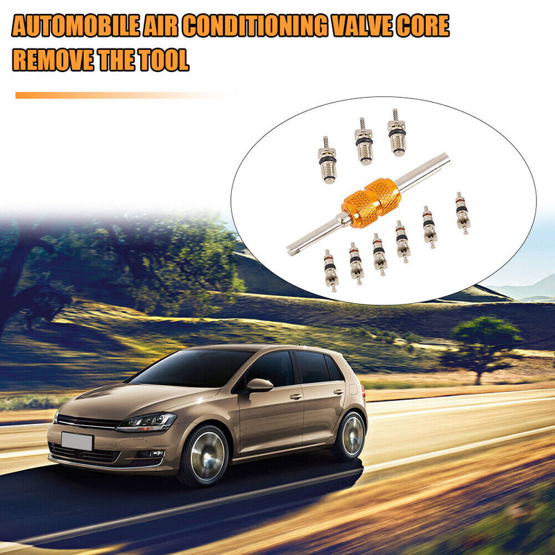 9pcs R134a Car A/C Valve Cores R-134a with Valve Core Remover Installer Tool