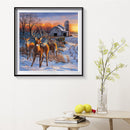 Oil Paint By Numbers Picture DIY Drawing Farmhouse Deer Acrylic Paint Decor