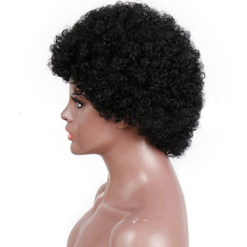 Short Afro Kinky Curly Human Hair Wigs Remy Brazilian Cheap Wigs for Black Women