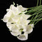 Weiß künstliche Calla-Lilie blüht Blumenstrauß Garden Hochze D6F9 G7K5 W9U5 X7M4