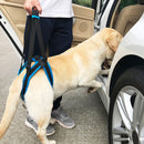 #A Adjustable Dog Leash Aid Assist Tool Lift Harness for Back Legs Pet Support