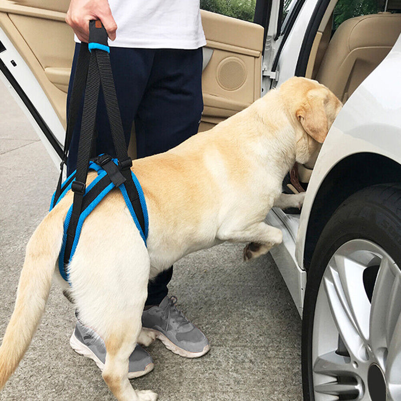 #A Adjustable Dog Leash Aid Assist Tool Lift Harness for Back Legs Pet Support