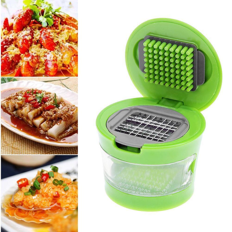 Portable Mini Garlic Grater Chopper Slicer Onion Hand Press Grinder Crusher