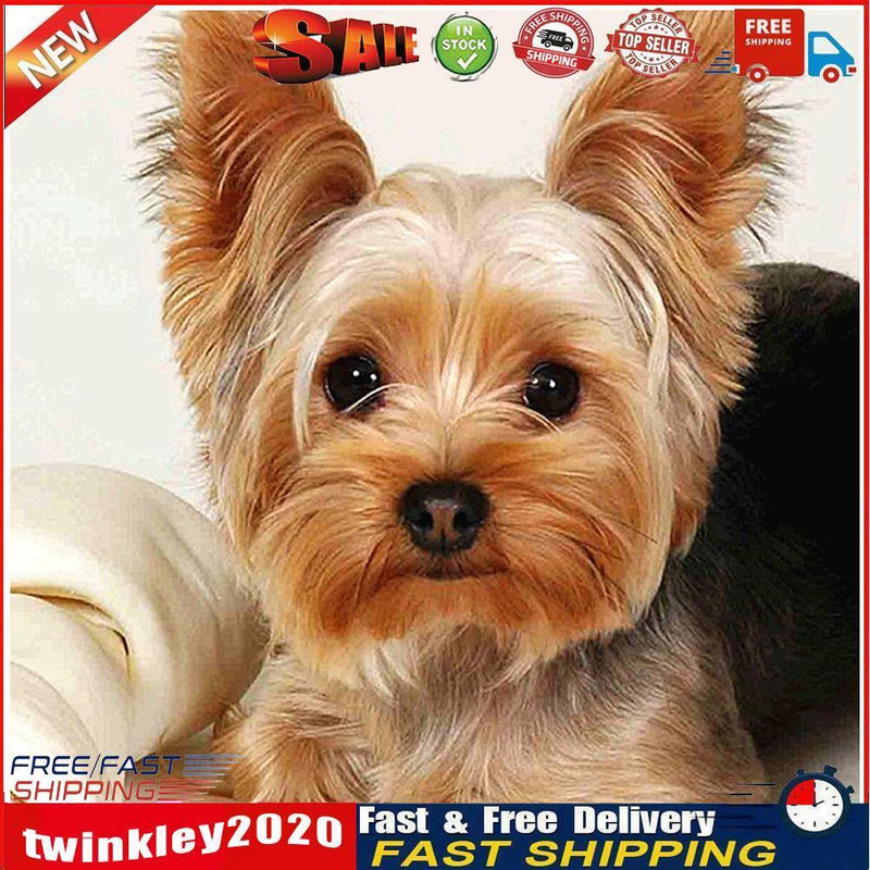 5D Full Round Drill Diamond Painting Dog diy Embroidery Animal Decor (281) Newly