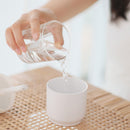 Can Air Humidifier Diffuser Electronic Colorful LED Spray Purifier (White)