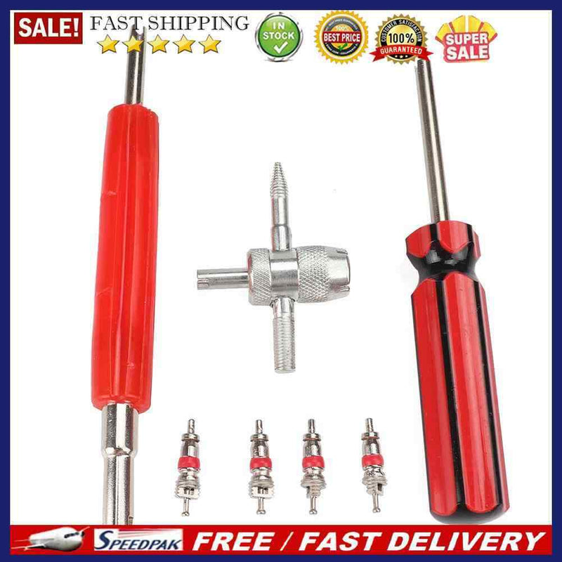 4pcs Tire Schrader Valve Core with Dual Single Head Remover+4-Way Valve Too