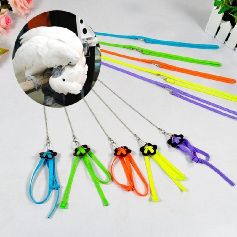 Bird Parrot Adjustable Harness & Leash Anti-bite Multicolor Light Soft