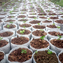 100pcs Biodegradable Nursery Plant Grow Bag Seedling Grow Pouch (14x16cm) Newly