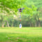 2pcs Crystal Wind Chimes Diamond Hanging Light Catcher Home Decor (ZH009)
