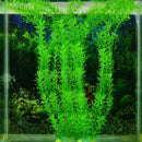 Aquatic plant Live Aquatic Aquarium Tropical Tank Plants C9T7 3 V5Q6 of I9D6