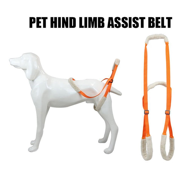 Dog Dog Lifting Belt Dog Walking Pet Lift Support Harness Pet Auxiliary Belt