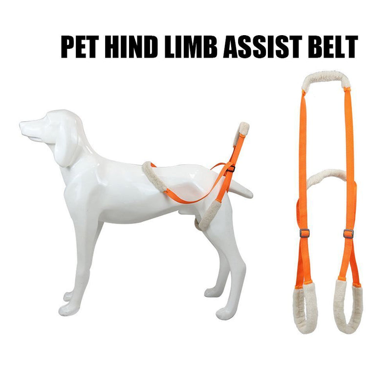 Dog Dog Lifting Belt Dog Walking Pet Lift Support Harness Pet Auxiliary Belt