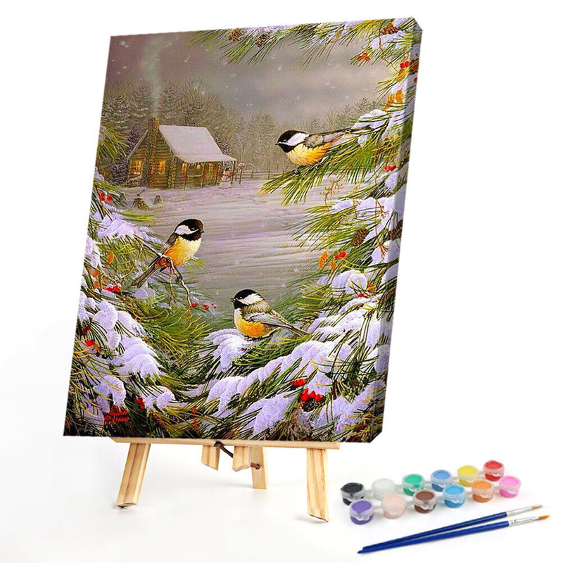 Handpainted DIY Christmas Bird Oil Paint by Numbers Kit Pictures Craft Gifts