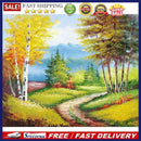 Forest Trail Oil Paint By Numbers DIY Handpainted Home Decoration Gifts Unframed