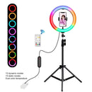 Ring Light Tripod Stand LED Video Light Kit 10.2 inch For Tik Tok Youtube