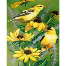 Paint By Numbers DIY Canary Hand Painted on Canvas Oil Art Craft Home Wall Decor