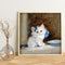 Hand Painted on Canvas DIY Cute White Cat Oil Paint By Numbers Drawing Kit Craft
