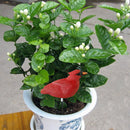 Soil Water Tester Bird Shape Flower Pot Moisture Sensor Farm Meter (Red)