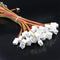 10pcs 12V 3-Pin Male to 3-pin Female PC Fan Power Extension Lengthen Cable
