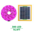 Solar LED Plant Grow Light Strip Full Spectrum 5V Phytolamp for Flower (5m)