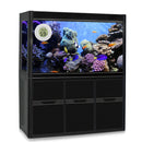 Digital Thermometer Hygrometer Meter for Reptile Turtle Fish Tank (White) Newly