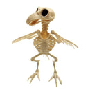 Crazy Bone Skeleton Raven Plastic Animal Skeleton Bones Horror Halloween Decor`