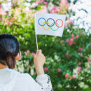Fabric Vivid Color Hand Flag Held Flags Five Ring Pattern Olympics Style