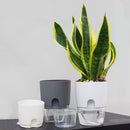Creative Self Watering Lazy Flowerpot Home Office Garden Decor for Festival Gift
