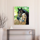 Fine Horse Oil Paint By Numbers Kit DIY Frameless Drawing Picture for Adults