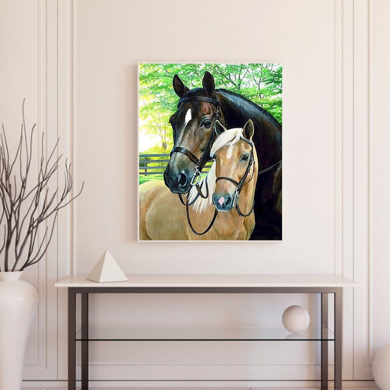 Fine Horse Oil Paint By Numbers Kit DIY Frameless Drawing Picture for Adults