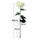 Solar Power Chrysanthemum Ground Light Flower Outdoor Garden Decor (White) Newly