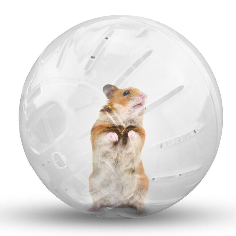 Pet Mini Jogging Ball Hamster Exercise Plastic Clear Trot Ball Toys (White)