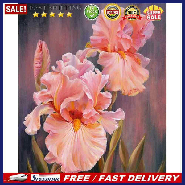 Iris Oil Paint By Numbers Kits DIY Handpainted on Canvas Wall Art Gifts Unframed