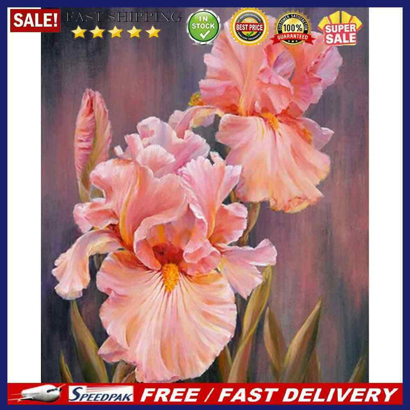 Iris Oil Paint By Numbers Kits DIY Handpainted on Canvas Wall Art Gifts Unframed