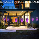 Solar Plug Lamp Solar Charging Flikering LED Light Decoration Garden (2pcs)