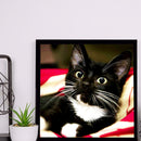 Diamond Painting Long Whisker Black Cat Full Round Wall Picture Kit 30x30cm
