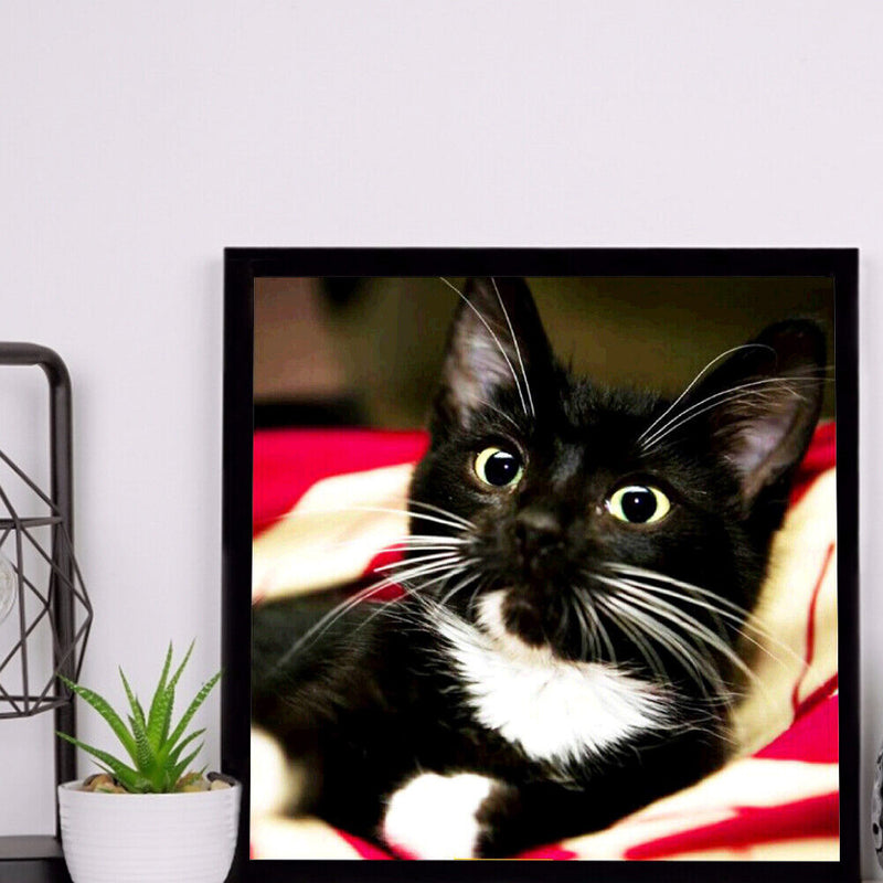 Diamond Painting Long Whisker Black Cat Full Round Wall Picture Kit 30x30cm