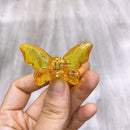 Transparent Butterfly Hair Clip Claws Women Girl Korean Hairpins Sweet Headbands