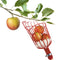 Garden Tools Metal Apples Pears Peaches Oranges Gardening Fruits Catcher Pi