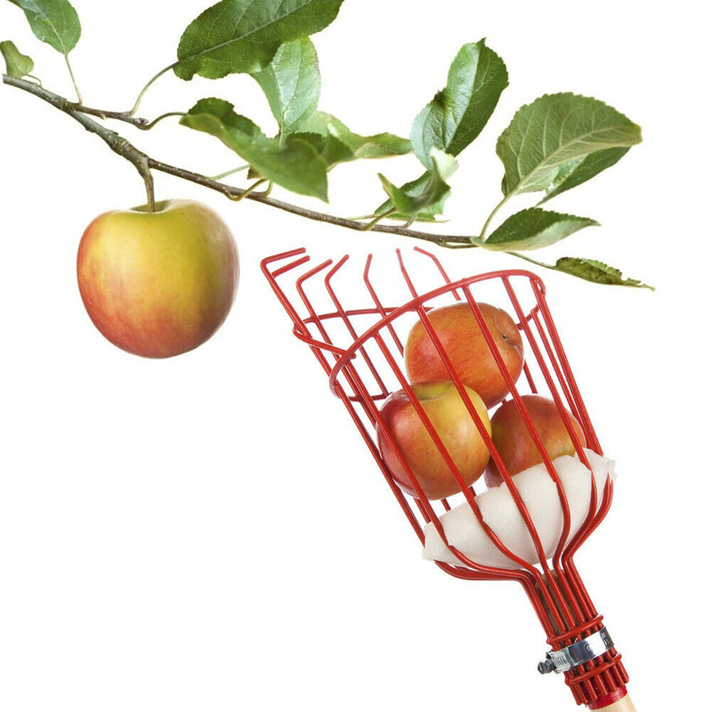 Garden Tools Metal Apples Pears Peaches Oranges Gardening Fruits Catcher Pi
