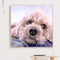 DIY Diamond Painting Kit Pet Dog Puppy 5D Full Round Rhinestone Art Picture