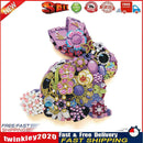 Diamond Painting Kit DIY Rabbit Partial Special Shape Drill Mosaic (KA355) Newly