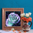 DIY Diamond Painting Kits Full Square Drill Color Rose Crafts Home Decoration