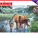 5D DIY Full Drill Diamond Painting Horse Drinking Cross Stitch Embroidery Craft