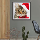 5D Diamond Painting Cat Full Round Drill Mosaic Art Home Wall Decor (A1075)