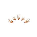 Brown Eyelash Extension Thick Long Premade Segment Cluster Lashes Grafting