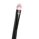 20pcs Eye Brushes Set Eyeshadow Foundation Brush Makeup Tools (Black)