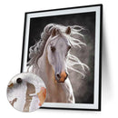 Fine Horse Oil Paint By Number DIY Acrylic Painting Home Decoration Wall Arts